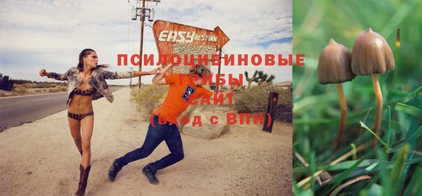 мескалин Покровск