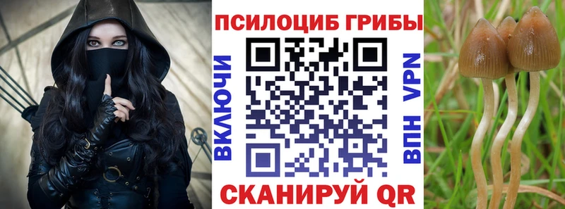Псилоцибиновые грибы прущие грибы Серов